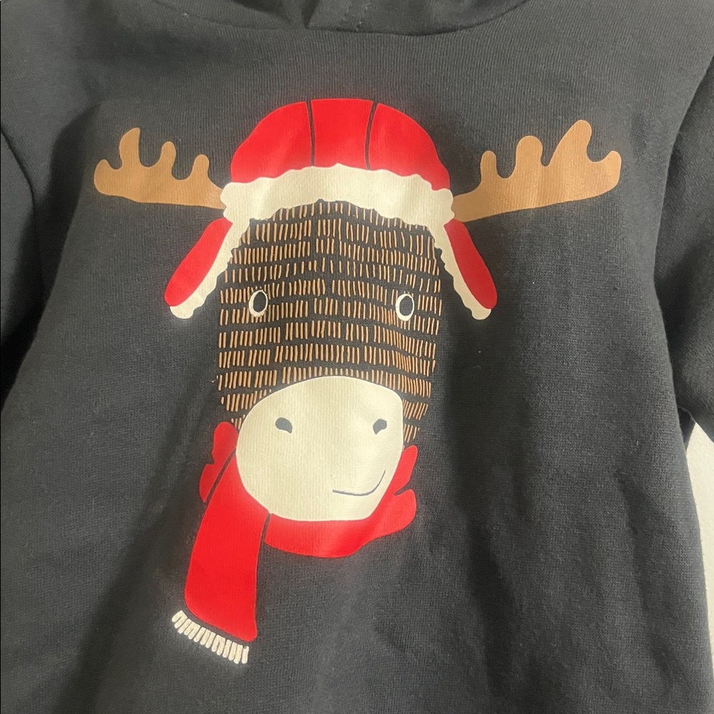 Carter’s Boys 2 piece outfit Hoodie with Moose Design and Gray Pants Set Size 3T - Picture 3 of 5